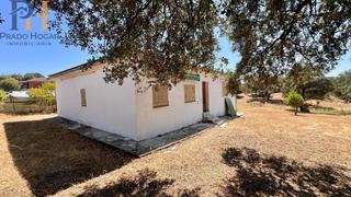 Masia  Mojon blanco f1