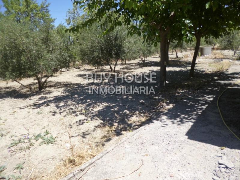 Foto 101ec13f-6fc2-4507-8673-07c980f62dcd. Chalet  independiente con 2500 m2 de terreno! . en Yeles