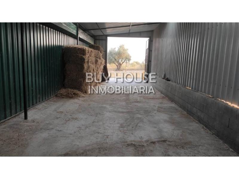 Foto 0d845ea5-7e1f-4fd4-a847-9438b32179b0. Terreny residencial a Viso de San Juan (El)