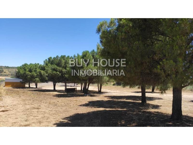 Foto 9fe86ebd-02d2-4385-a456-9e137760c669. Terreny residencial a Viso de San Juan (El)