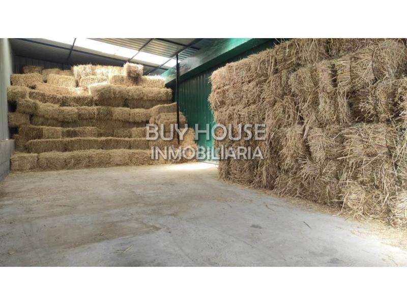 Foto ce754ec5-9133-4ed5-b891-33aa493a1147. Terreny residencial a Viso de San Juan (El)