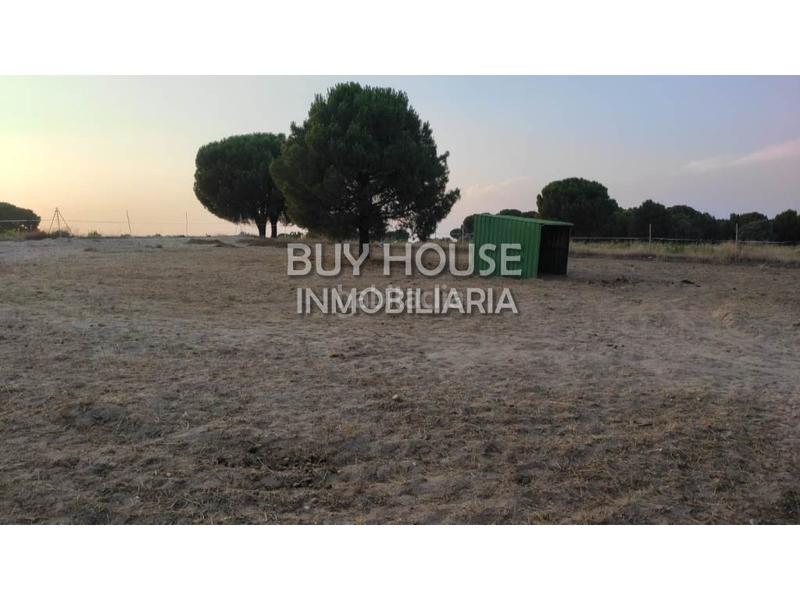 Foto e241c9b0-ec08-4b29-8ca5-b70855341a00. Terreny residencial a Viso de San Juan (El)