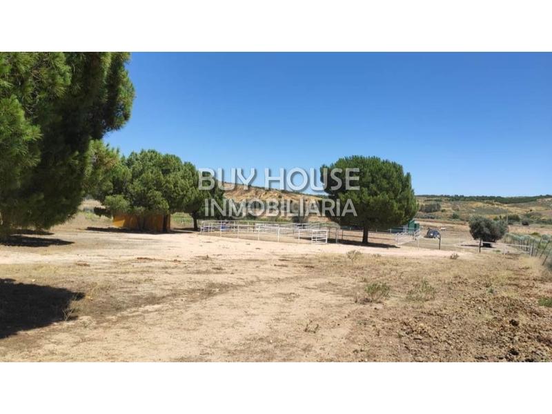 Foto e722a62a-4778-4778-93c9-c27357313593. Terreny residencial a Viso de San Juan (El)