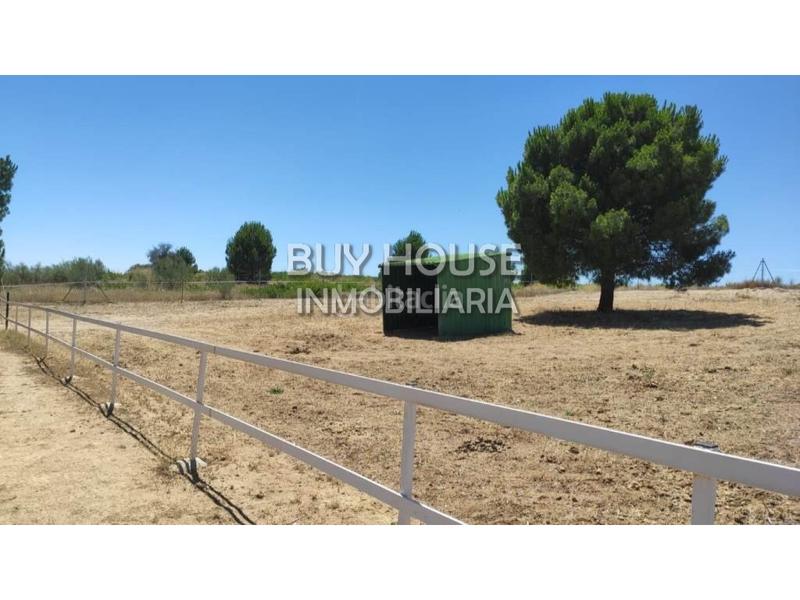 Foto f4c13c1b-07ca-453d-855c-84e48d6b9370. Terreny residencial a Viso de San Juan (El)