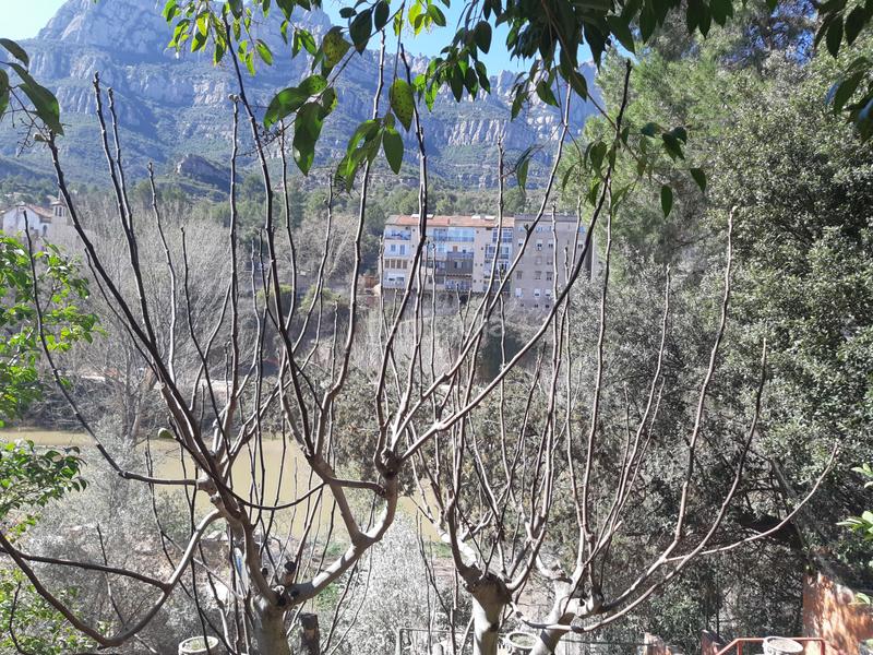 Foto abd058a2-b678-4f1c-8531-8136b6e71c00. Casa a schiera con riscaldamento parcheggio in Monistrol de Montserrat