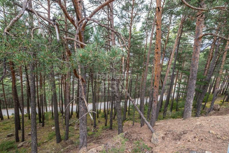 Foto 10bb6981-fbc7-4d99-89c8-a9abb4325d93. Rural plot in Aubinyà - Juberri Sant Julià de Lòria