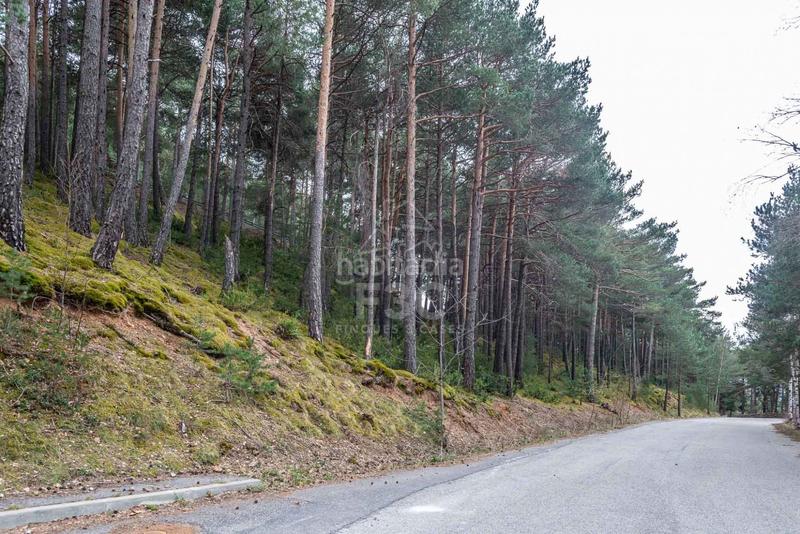 Foto 4ea27e87-1121-4e4c-a59a-daf436cd6441. Rural plot in Aubinyà - Juberri Sant Julià de Lòria