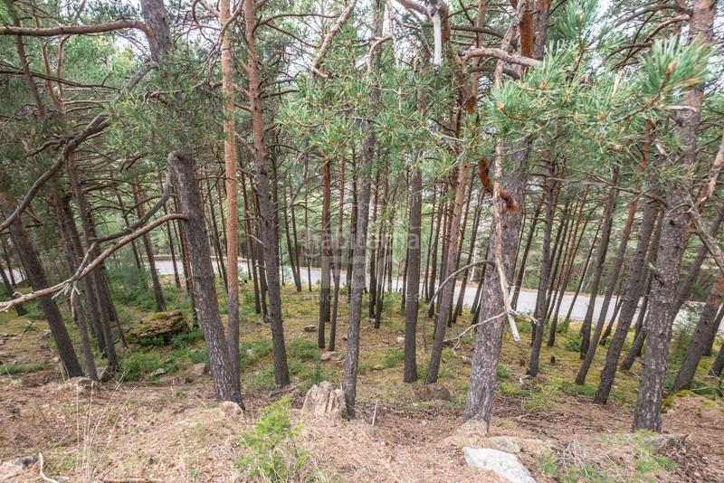 Foto 62901d95-ba75-4d00-8122-c406962a9b71. Rural plot in Aubinyà - Juberri Sant Julià de Lòria