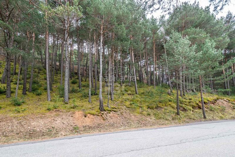 Foto 927bcc28-0075-4453-a820-4ed1d46136a2. Rural plot in Aubinyà - Juberri Sant Julià de Lòria