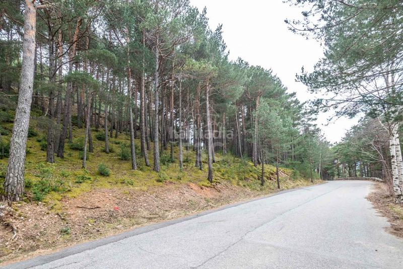 Foto acbe33e5-e60c-4aff-884e-9ca170b00cd1. Rural plot in Aubinyà - Juberri Sant Julià de Lòria