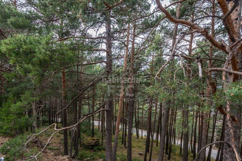 Foto b604cd33-2dc5-4193-8314-52d1ea0d6c03. Rural plot in Aubinyà - Juberri Sant Julià de Lòria