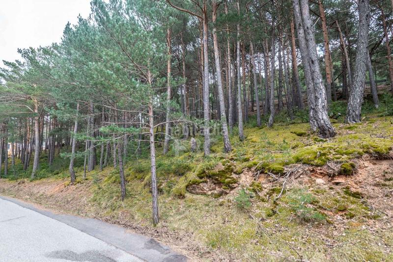 Foto c2c8a4af-2948-4930-8f58-c79870d41575. Rural plot in Aubinyà - Juberri Sant Julià de Lòria