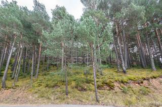 Landgut in Sant Julià de Lòria. Terreno para comprar en juberri