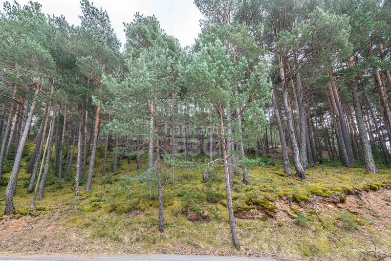 Foto da8d9f3f-219e-4268-8b84-d1e107cef6c5. Rural plot in Aubinyà - Juberri Sant Julià de Lòria