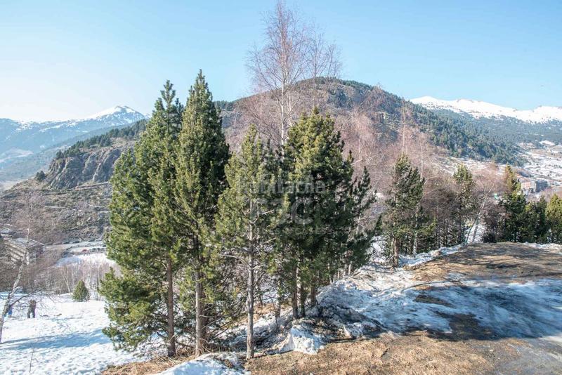 Foto a55d8db5-b067-4d05-a098-2f00f2f4f112. Piano terra con riscaldamento parcheggio in Soldeu-Incles Canillo