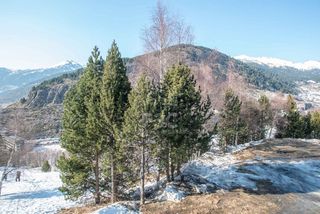 1-bedroom flat for sale in Canillo · 44 of 60