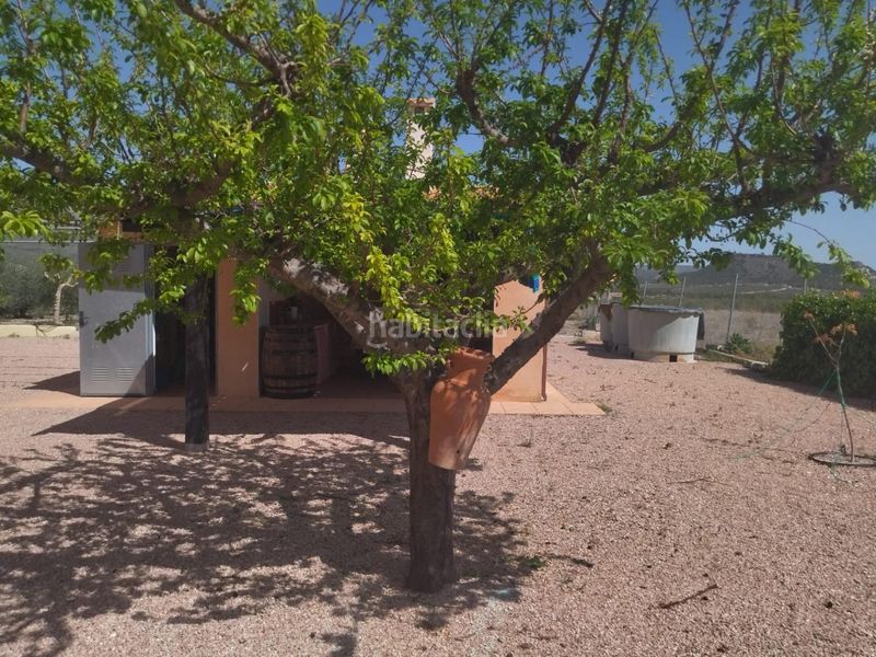 Foto a3d7bbf9-22ab-43a8-9c97-b02f9c86faf9. Masia amb calefacció aparcament piscina a Moratalla