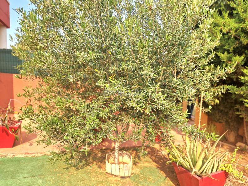 Foto 1f6662ba-4a9d-4925-8217-451fb061985f. Casa con riscaldamento in Los Urrutias Cartagena