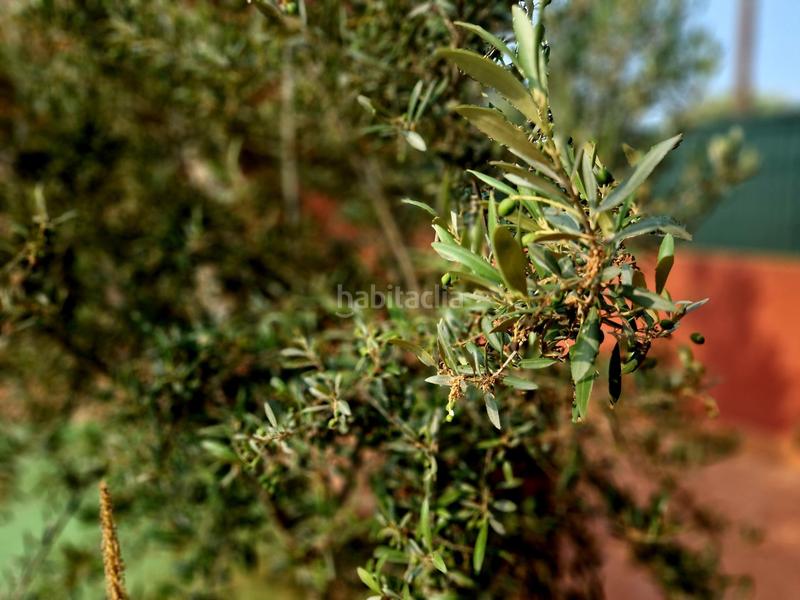 Foto 52119b44-84c8-43dd-980d-ee545955a304. Casa con riscaldamento in Los Urrutias Cartagena