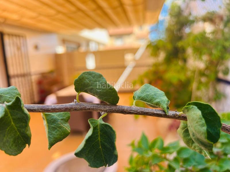 Foto 9cd8c185-3369-4213-9a40-83fbf4c13e3d. Chalet mit heizung parking in San Pedro del Pinatar San Pedro del Pinatar