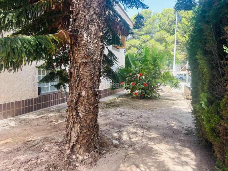Foto c58ac3d6-f851-4e37-88af-490384520045. Chalet mit parking in Los Cuarteros San Pedro del Pinatar
