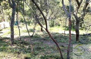 Terreny residencial  Carrer santa elena. Suelo en venta en maçanet de la selva