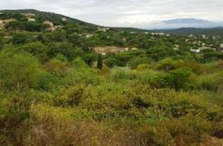 Wohngrundstück in Montbarbat. Terreno en venta  montbarbat, maçanet de la selva