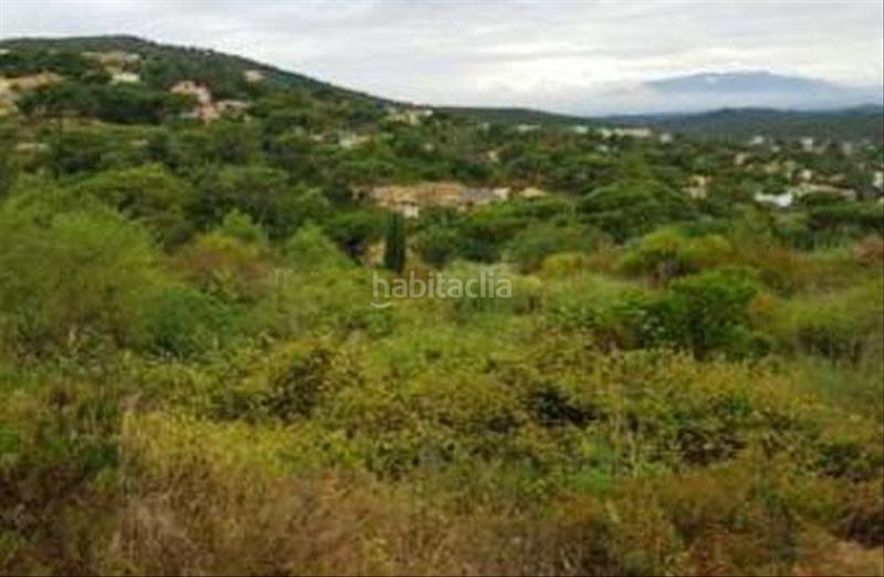 Foto 598059fa-60fd-4adf-87e0-d5e9634ff732. Terreny residencial a Montbarbat Maçanet de la Selva