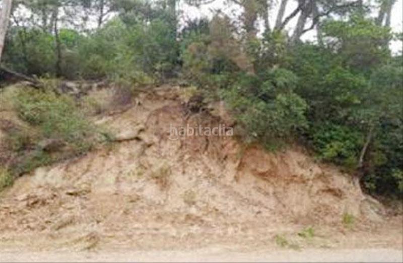 Foto e3d9c228-effa-4391-ac76-49b7c13b1f0f. Terreny residencial a Montbarbat Maçanet de la Selva