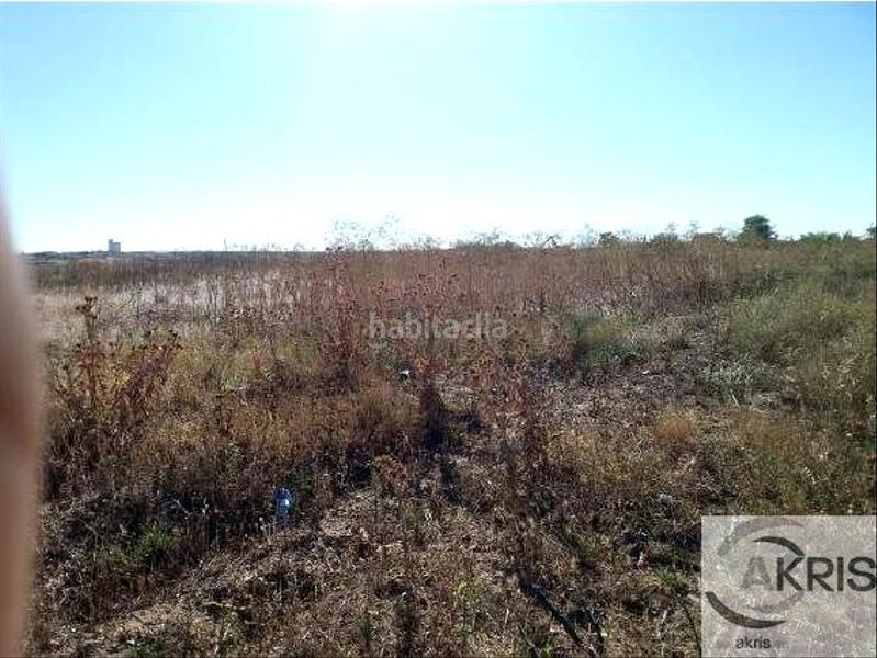 Foto 3b6d6b28-7a8d-4cfe-8566-21f83dad43d7. Wohngrundstück in El Pijorro Navalcarnero