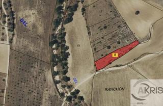 Finca rústica  Cuesta blanca, pol.12 parcela 168. Terreno rustico en el viso de san juan