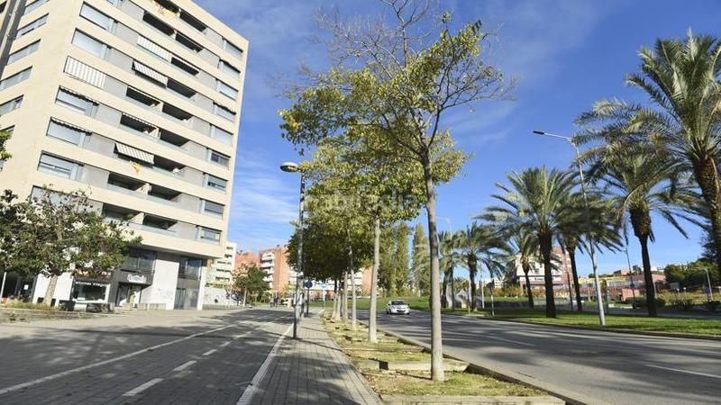 Foto e08c0cf2-27e5-48e6-997c-96834fb1240e. Pis a Cerdanyola Sud Mataró