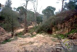 Terreny residencial  Desconocido. Suelo en venta en tordera