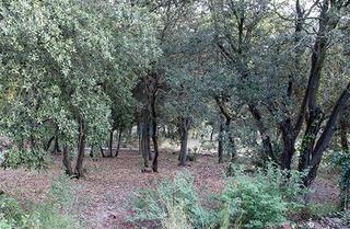 Residential Plot in Caldes de Montbui