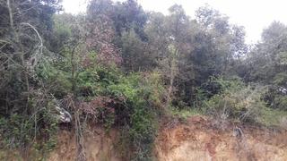Terrain résidentiel à Vallgorguina. Suelo en venta en vallgorguina, barcelona