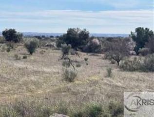 Finca rústica  Poligono 7. Terreno en casarrubios consultar precio