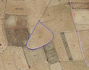 Terreny residencial  Paraje el llano. Viñedo secano