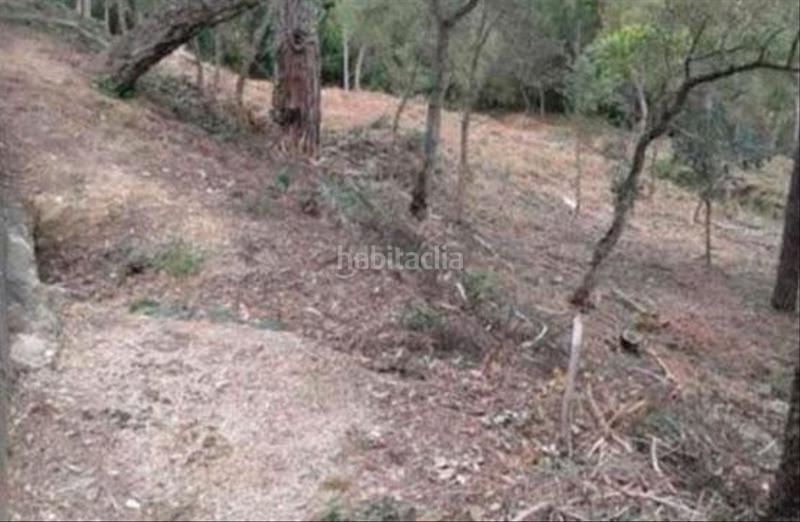 Foto 4e2798f7-049c-4c4f-8df8-34fea907abbb. Terrain résidentiel dans Urbanitzacions del Nord Santa Cristina d´Aro