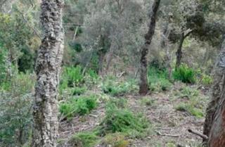 Terreno residenziale in Urbanitzacions del Nord