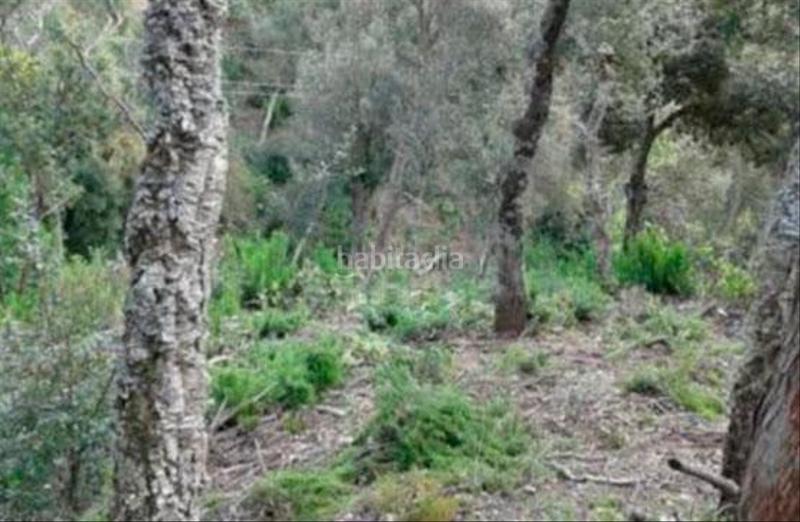 Foto fd1b2a22-a5ab-4b49-950f-6499f171fc71. Terrain résidentiel dans Urbanitzacions del Nord Santa Cristina d´Aro