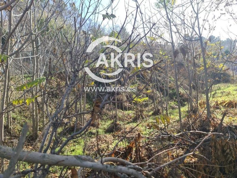 Foto 5f3ebe01-1e43-40b3-92c2-d8a63a57d3e6. Finca rústica a Valdelaguna