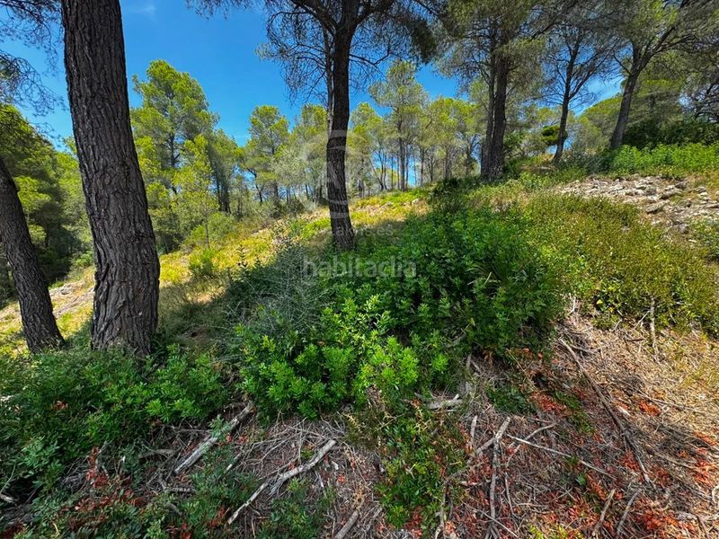 Foto 5e14b2a0-71ef-413b-9938-d5248c637796. Finca rústica a Urbanitzacions Tortosa