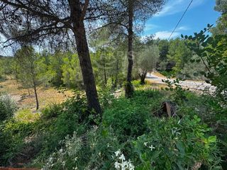 Fondo rustico  Torre gassia. Terreno urbanizable en ptda coll de lalba tortosa