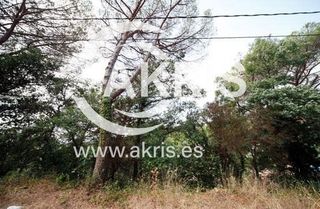Finca rústica a Junta de Compensacio