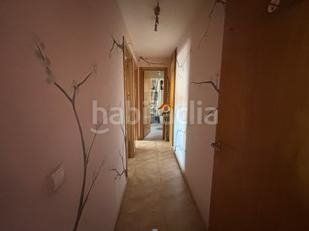 Foto cb7ce3bd-90d1-41de-bfa5-c67f84bb4485. Pis a Pantoja