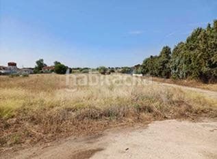 Foto 3e4a3198-c3d4-4d1c-b4ef-ee69e6132690. Finca rústica a Ugena
