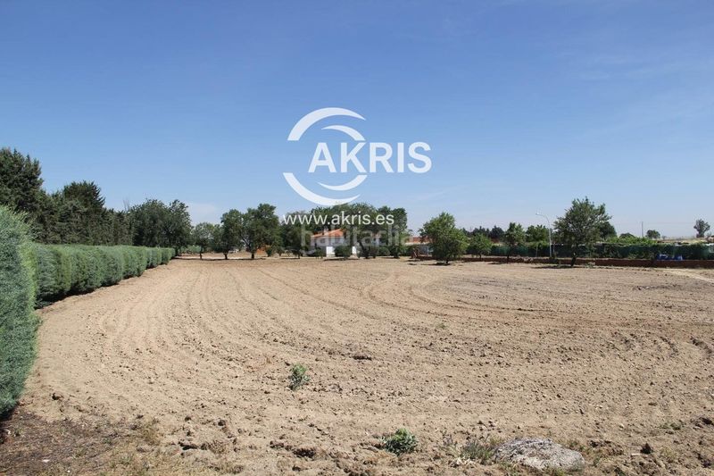 Foto 6404f088-a65d-48a7-80ed-b427a0d27b77. Finca rústica en Campodón-Ventorro del Cano Alcorcón