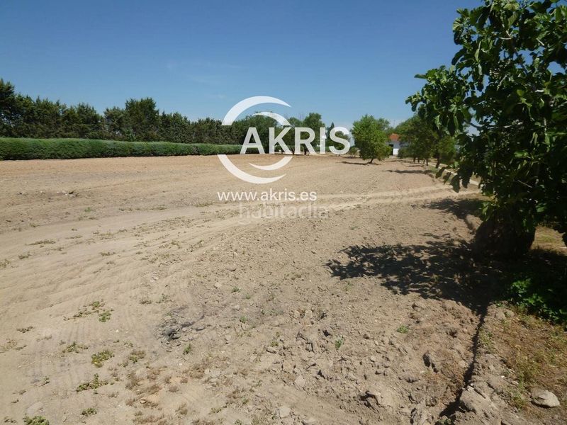 Foto 6bac8ee1-50f7-40c7-9348-51a58039a879. Finca rústica en Campodón-Ventorro del Cano Alcorcón