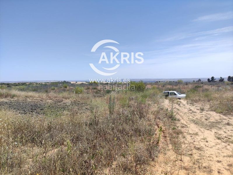 Foto 43a0e765-a23c-4192-a716-d25ffe32576c. Finca rústica a Olías del Rey
