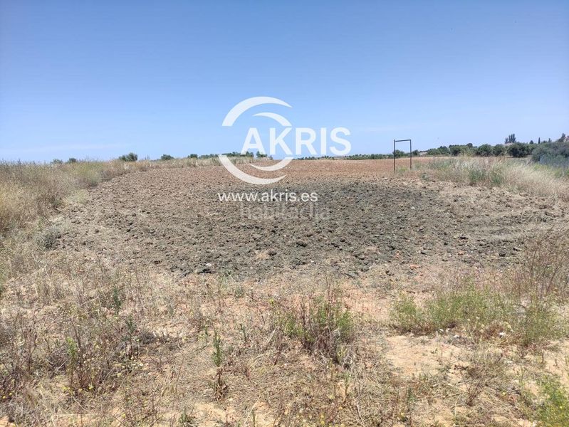 Foto ce47c019-261f-45db-895f-cf3799e93470. Finca rústica a Olías del Rey